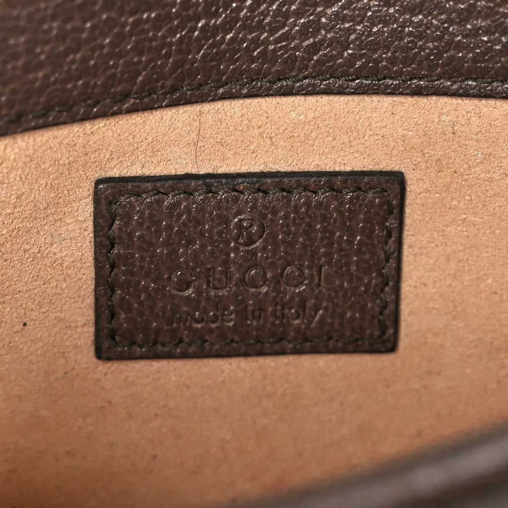 Gucci Dionysus Small Shoulder Bag – Brown